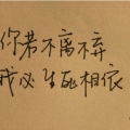 我的相册
