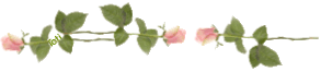 20100324_06c0bac1c5dd48f099e70mee0LaR3EN9.gif